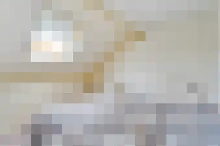 Fonteinkruid 19 a Hardenberg thumbnail 38