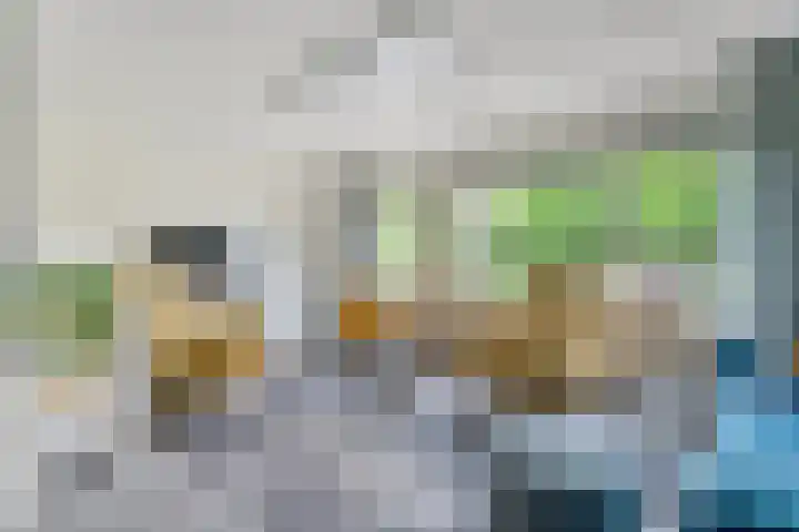 Fonteinkruid 19 a Hardenberg thumbnail 4