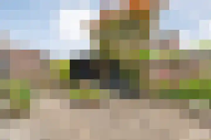 Fonteinkruid 19 a Hardenberg thumbnail 44