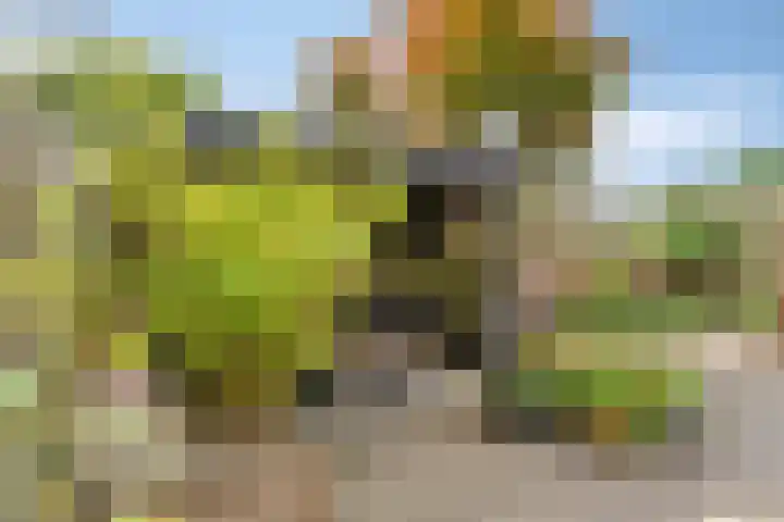 Fonteinkruid 19 a Hardenberg thumbnail 47
