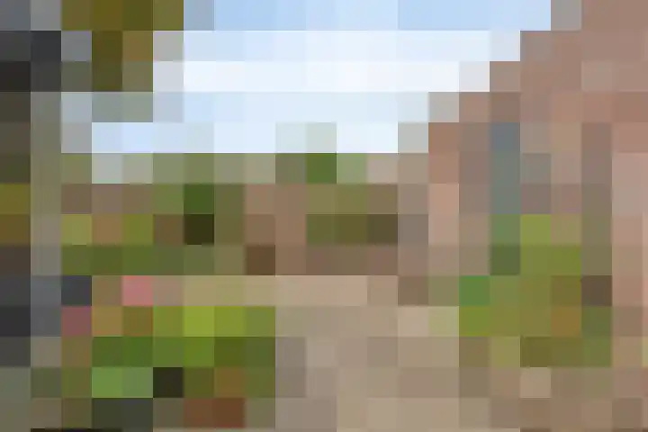 Fonteinkruid 19 a Hardenberg thumbnail 48