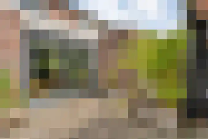 Fonteinkruid 19 a Hardenberg thumbnail 49