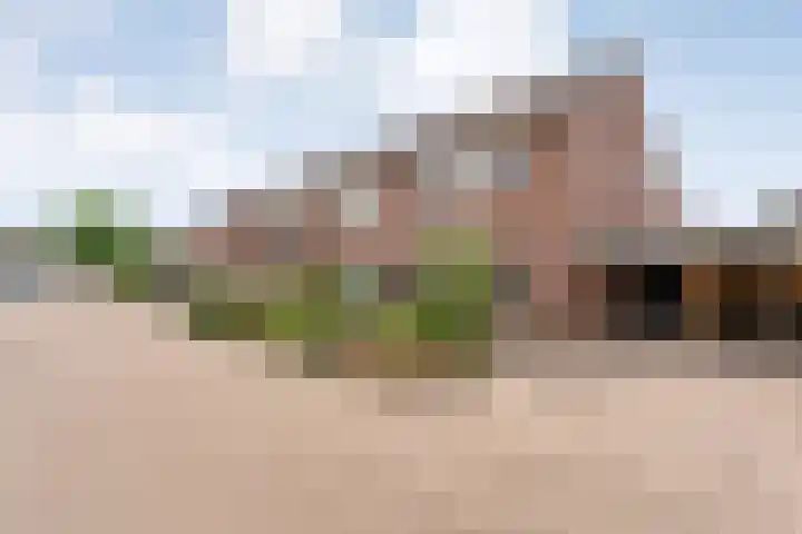 Fonteinkruid 19 a Hardenberg thumbnail 54