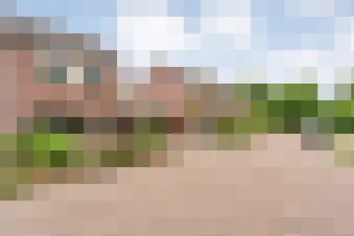 Fonteinkruid 19 a Hardenberg thumbnail 55