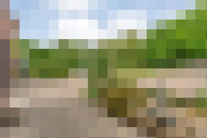 Fonteinkruid 19 a Hardenberg thumbnail 57