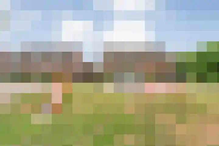 Fonteinkruid 19 a Hardenberg thumbnail 60