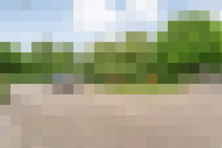 Fonteinkruid 19 a Hardenberg thumbnail 61