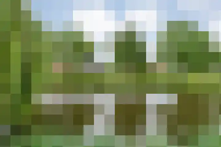 Fonteinkruid 19 a Hardenberg thumbnail 62