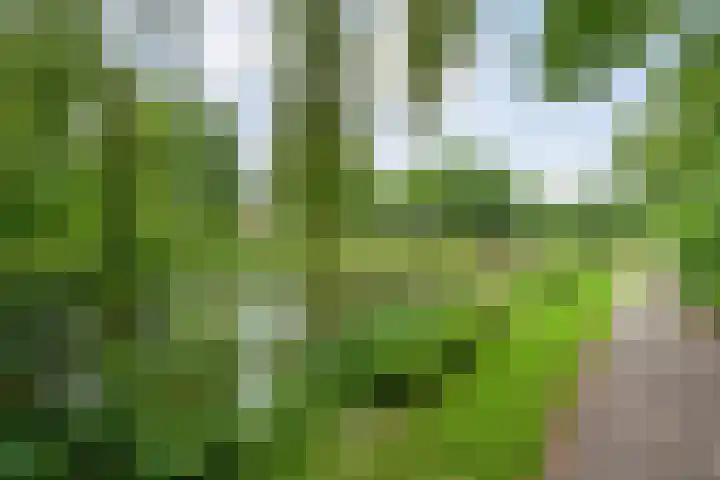 Fonteinkruid 19 a Hardenberg thumbnail 63