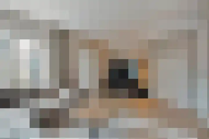 Fonteinkruid 19 Hardenberg thumbnail 16