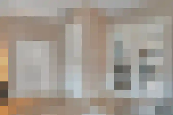 Fonteinkruid 19 Hardenberg thumbnail 17