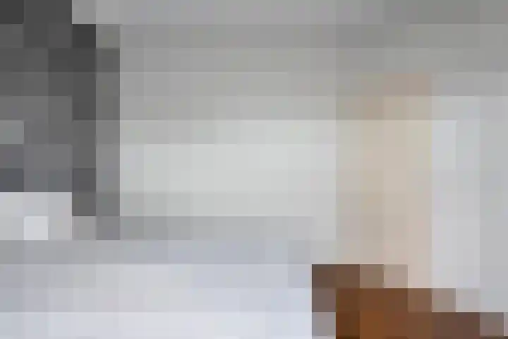 Fonteinkruid 19 Hardenberg thumbnail 37