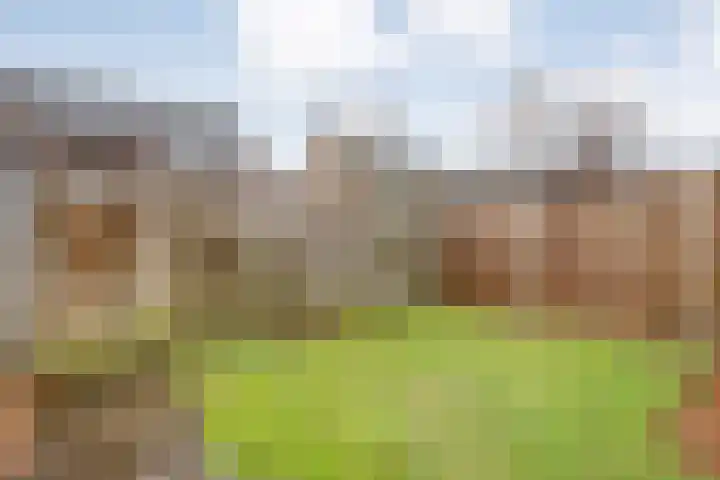 Fonteinkruid 19 Hardenberg thumbnail 42