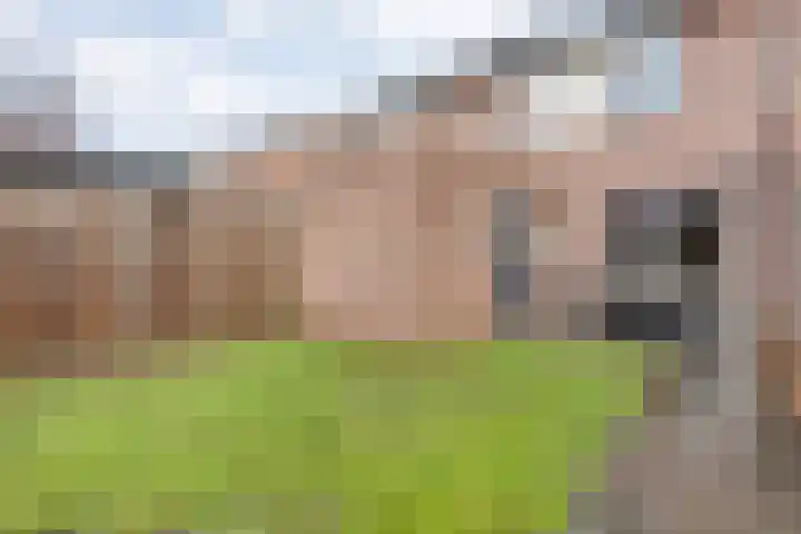 Fonteinkruid 19 Hardenberg thumbnail 43