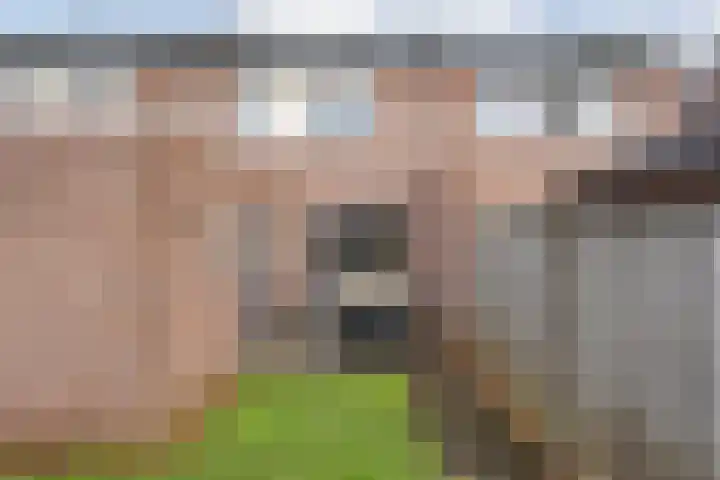 Fonteinkruid 19 Hardenberg thumbnail 44