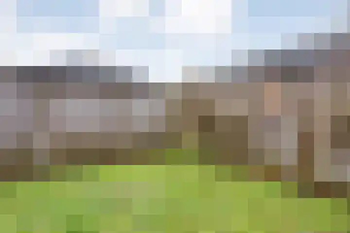 Fonteinkruid 19 Hardenberg thumbnail 45