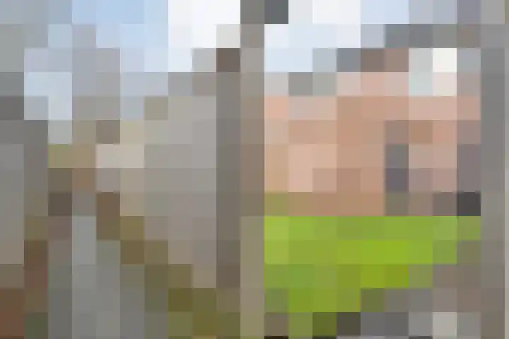 Fonteinkruid 19 Hardenberg thumbnail 46