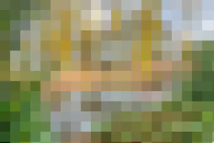 Fonteinkruid 19 Hardenberg thumbnail 47