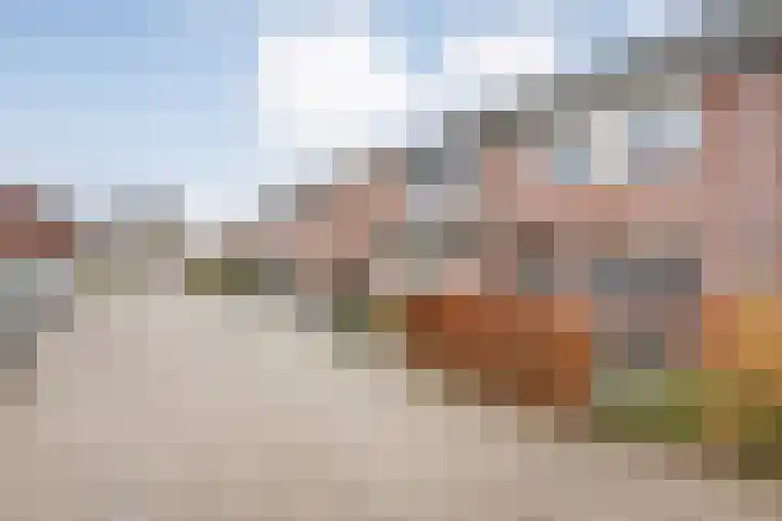 Fonteinkruid 19 Hardenberg thumbnail 49