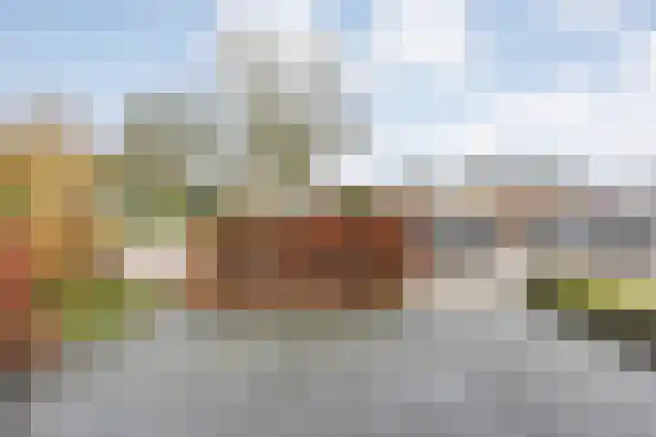 Fonteinkruid 19 Hardenberg thumbnail 50
