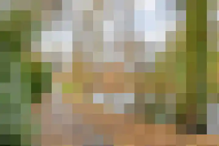 Fonteinkruid 19 Hardenberg thumbnail 52
