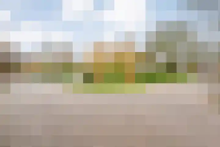Fonteinkruid 19 Hardenberg thumbnail 53