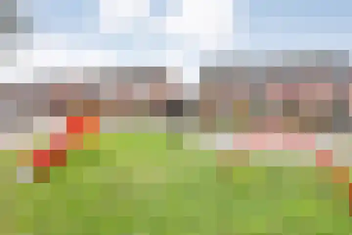 Fonteinkruid 19 Hardenberg thumbnail 54