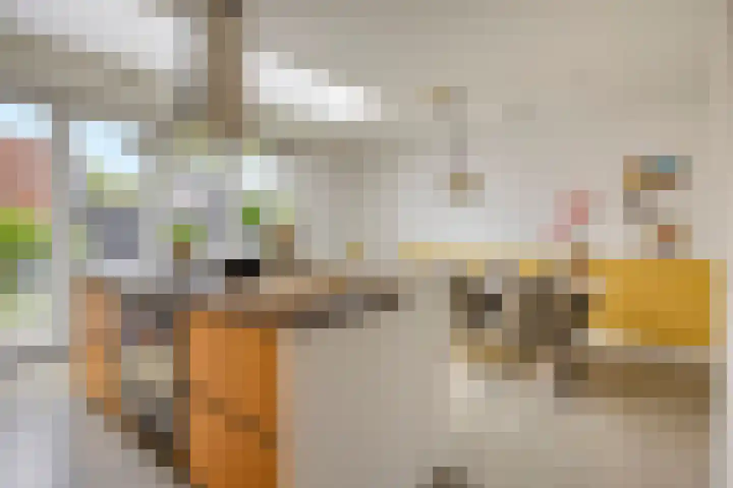 Fonteinkruid 2 Berlicum thumbnail 11
