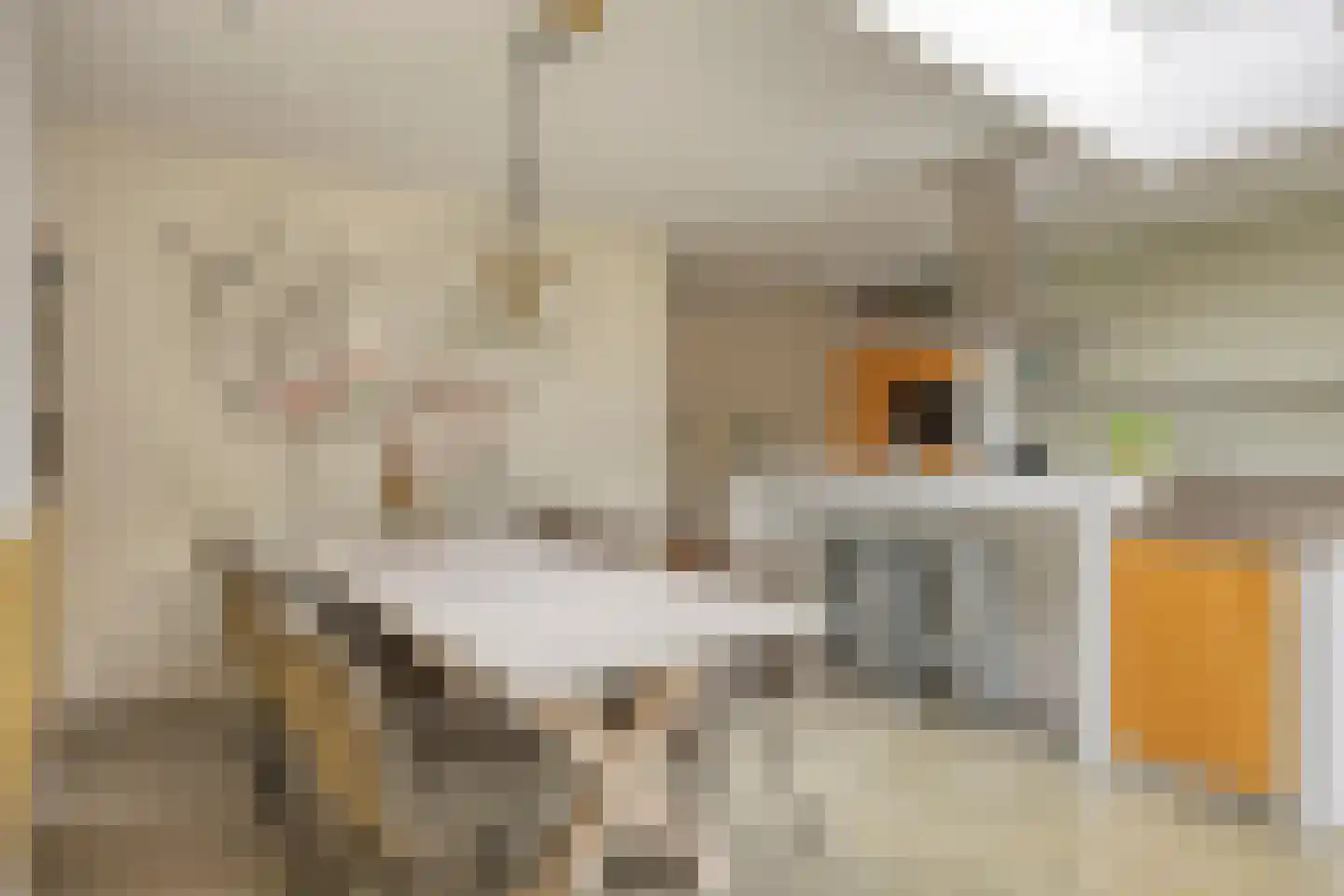 Fonteinkruid 2 Berlicum thumbnail 14