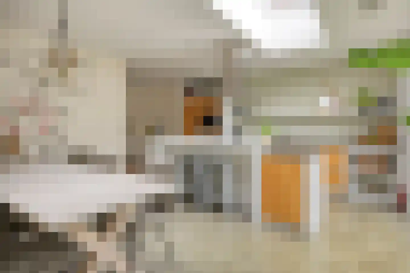 Fonteinkruid 2 Berlicum thumbnail 15