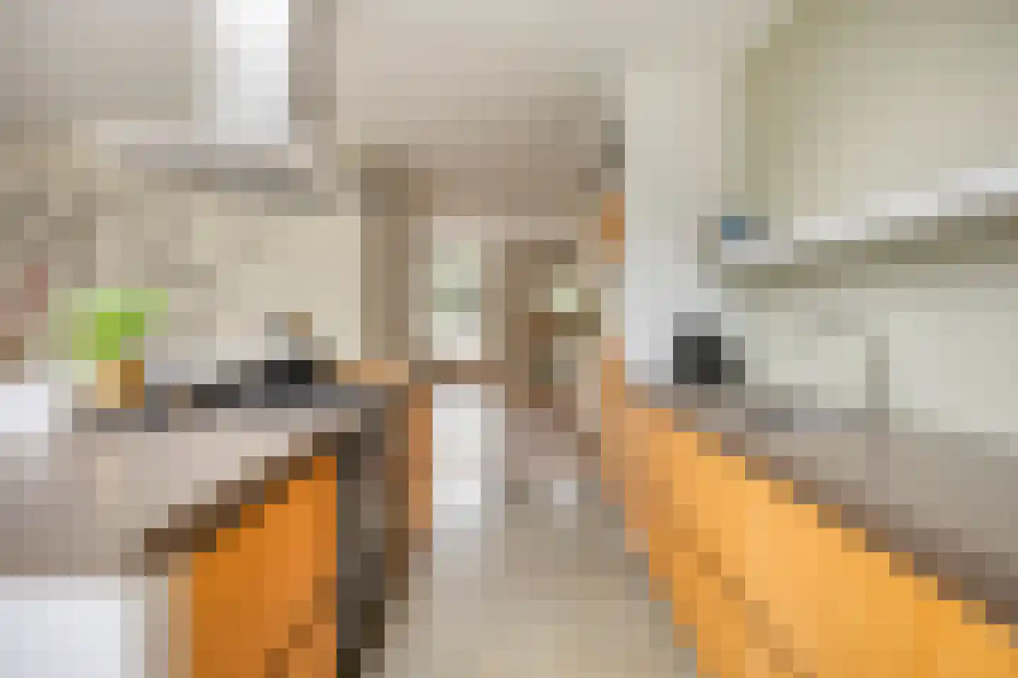 Fonteinkruid 2 Berlicum thumbnail 17