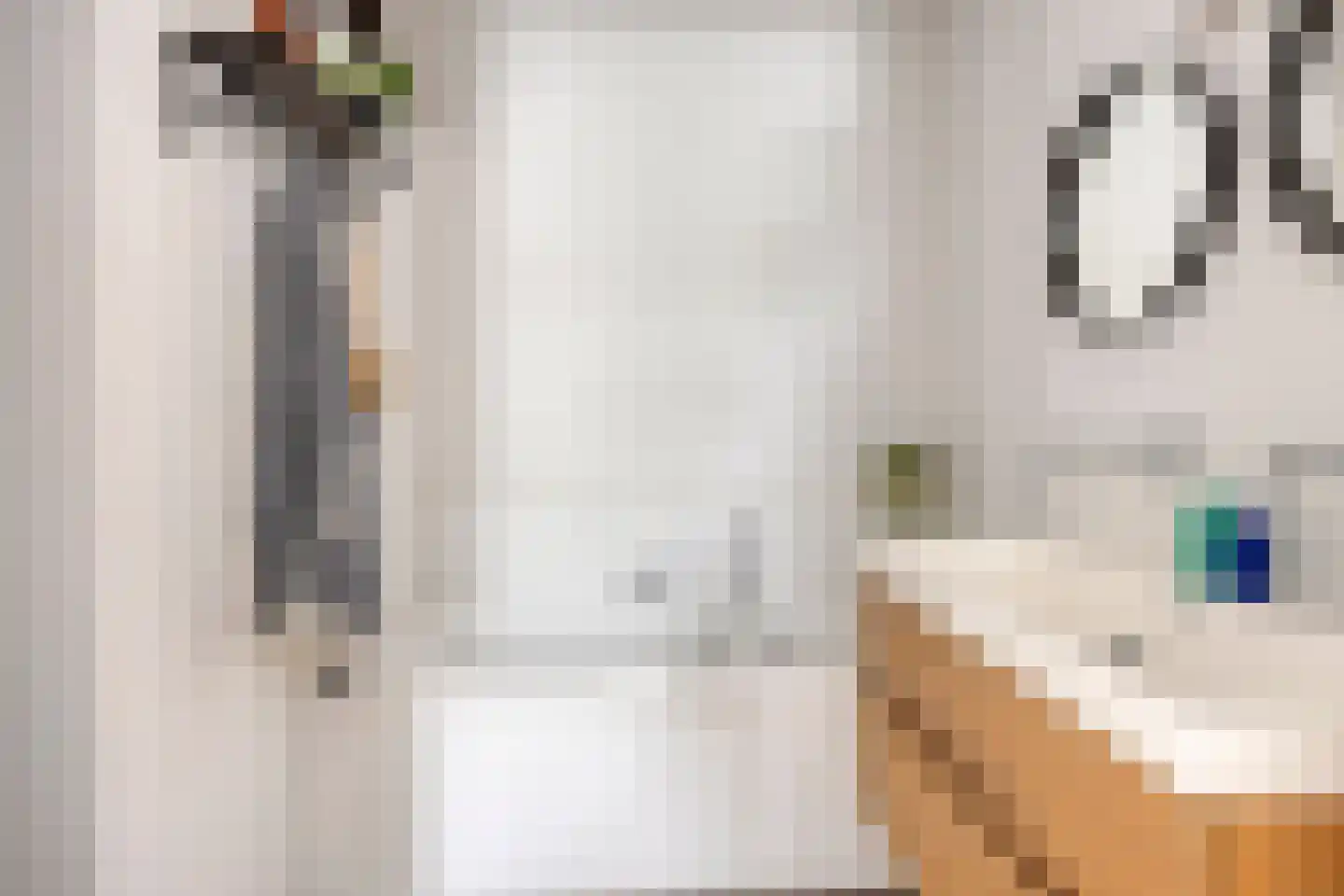Fonteinkruid 2 Berlicum thumbnail 28
