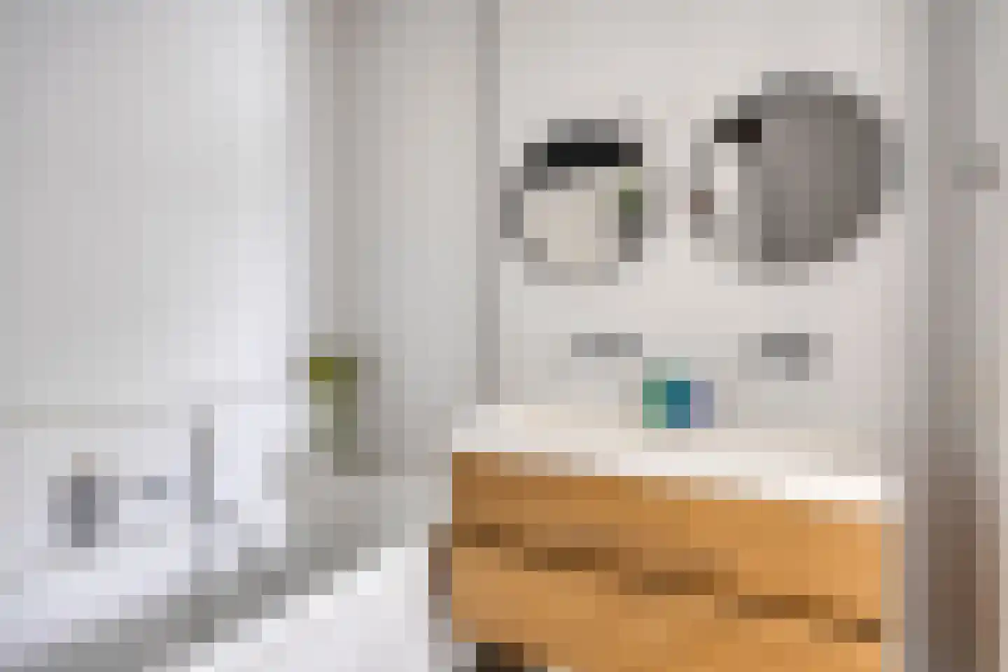 Fonteinkruid 2 Berlicum thumbnail 29