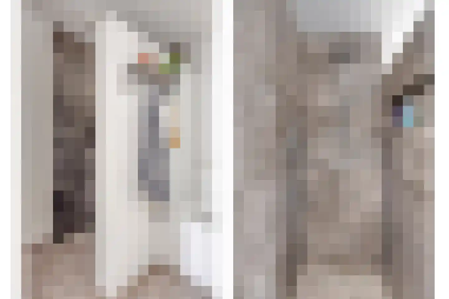 Fonteinkruid 2 Berlicum thumbnail 30