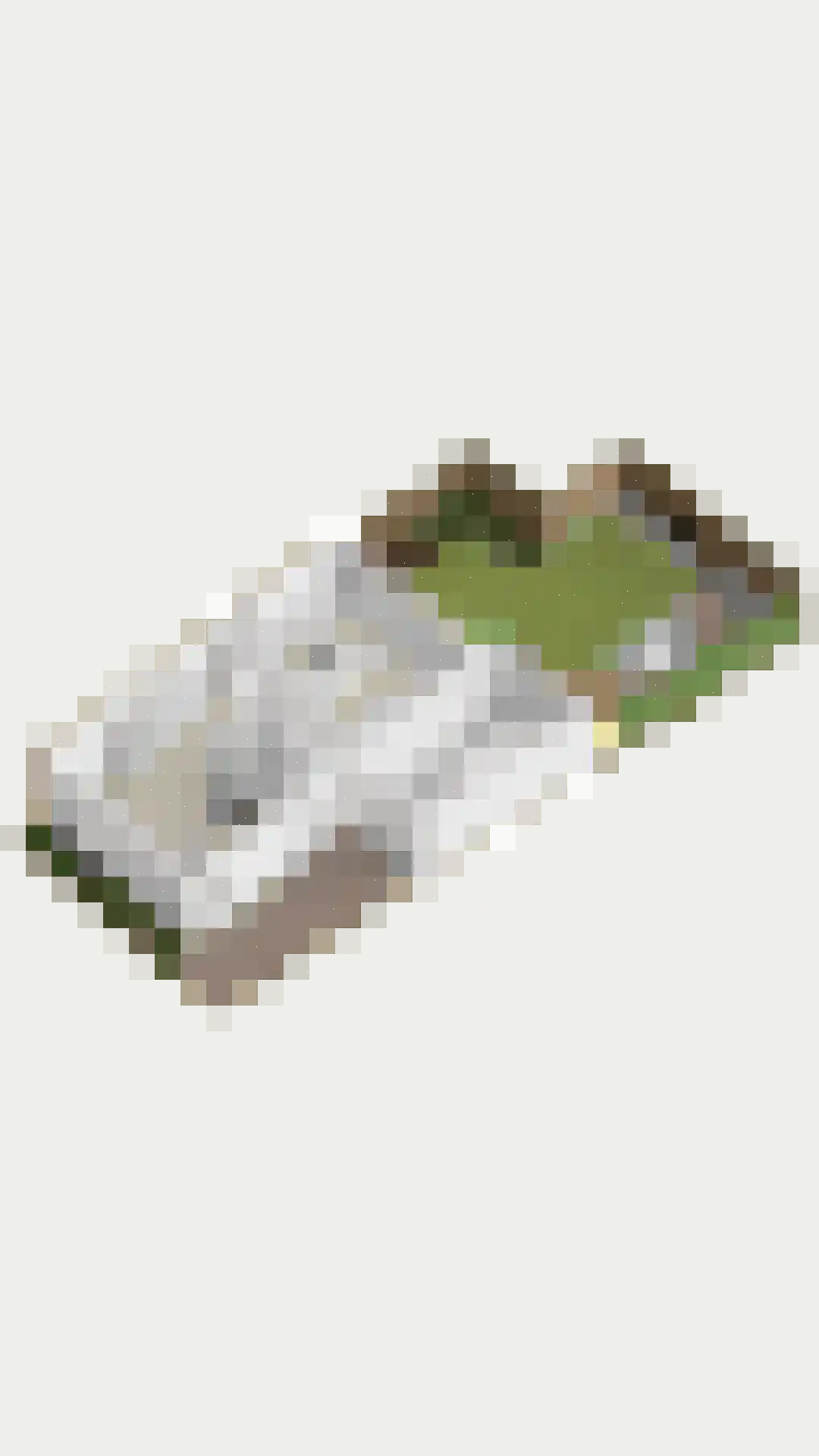 Fonteinkruid 2 Berlicum thumbnail 54