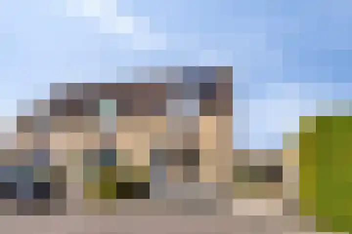 Fonteinkruid 2 Sneek