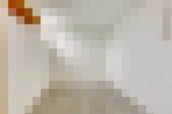 Fonteinkruid 2 Sneek thumbnail 12