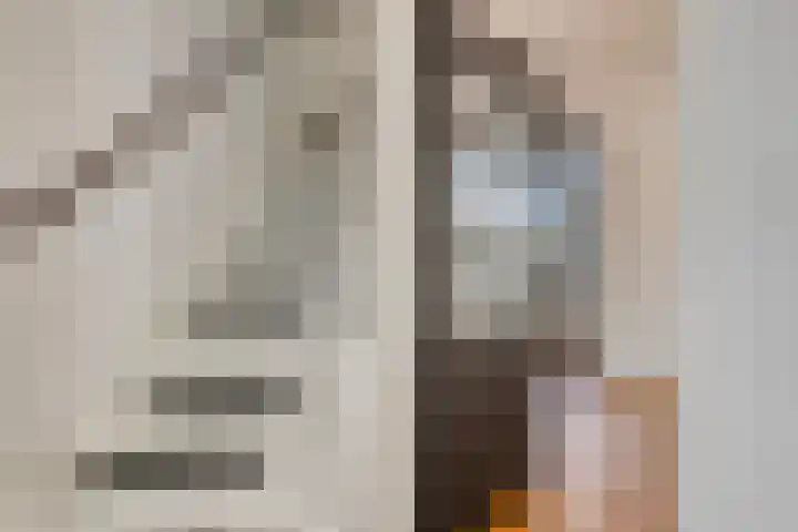 Fonteinkruid 2 Sneek thumbnail 15