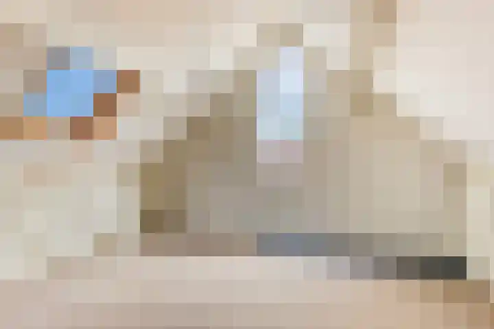 Fonteinkruid 2 Sneek thumbnail 27