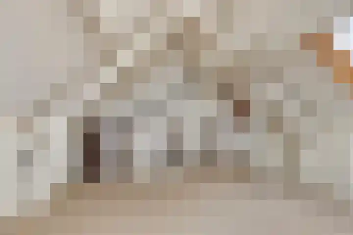 Fonteinkruid 2 Sneek thumbnail 28