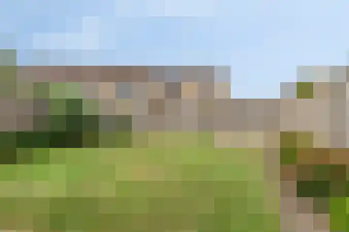Fonteinkruid 2 Sneek thumbnail 30