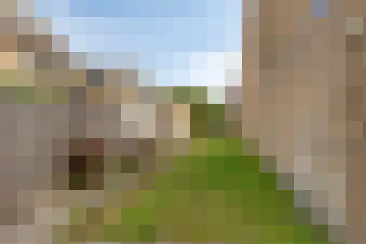 Fonteinkruid 2 Sneek thumbnail 32