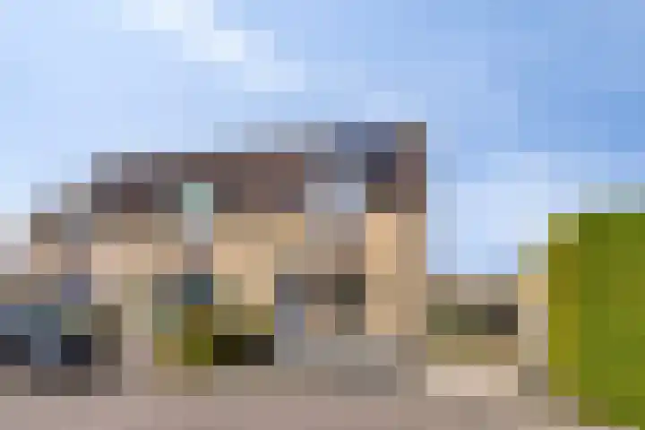 Fonteinkruid 2 Sneek thumbnail 40