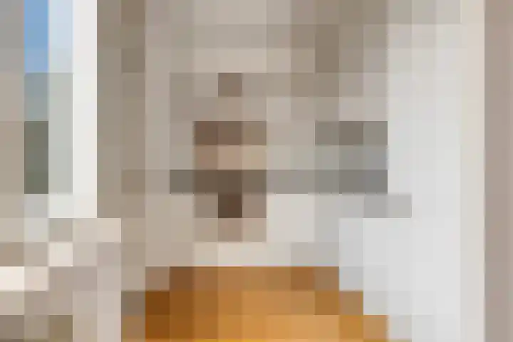 Fonteinkruid 2 Sneek thumbnail 9