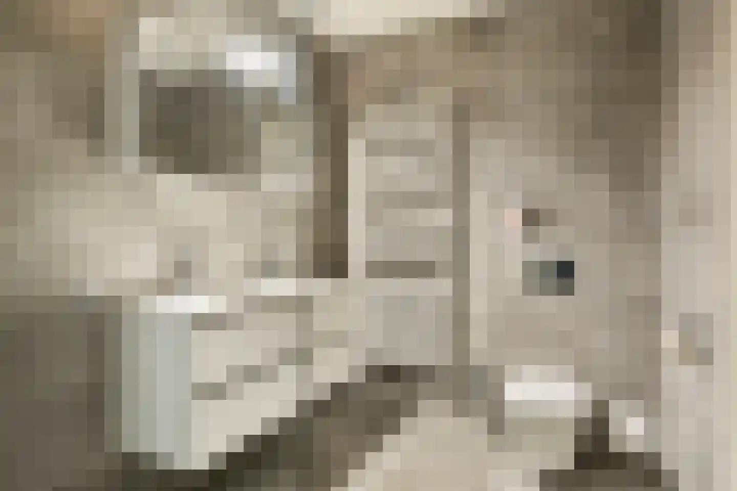 Fonteinkruid 2 Zwolle thumbnail 21