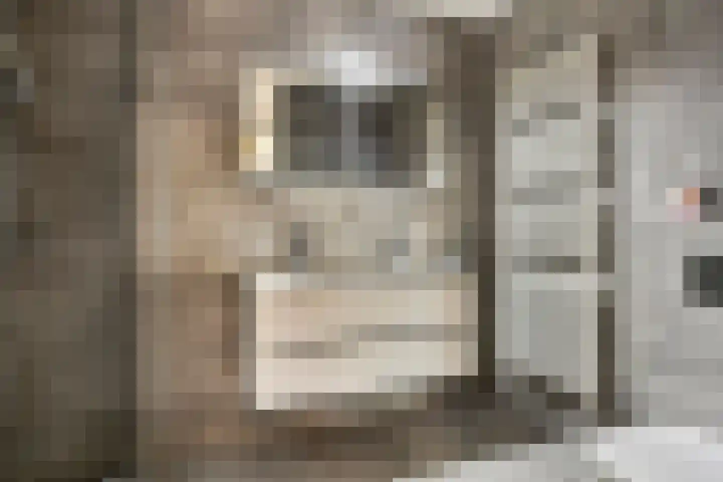 Fonteinkruid 2 Zwolle thumbnail 22