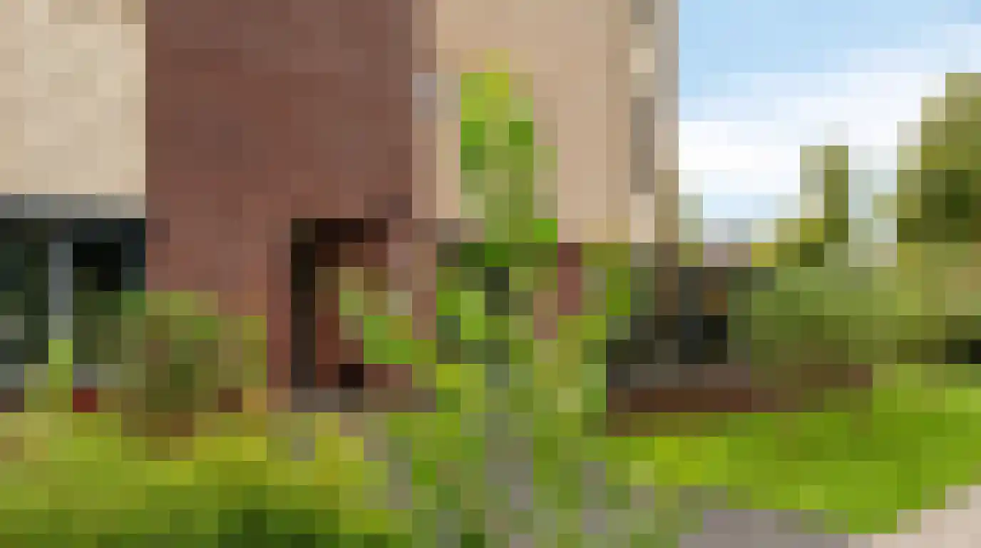Fonteinkruid 2 Zwolle thumbnail 30