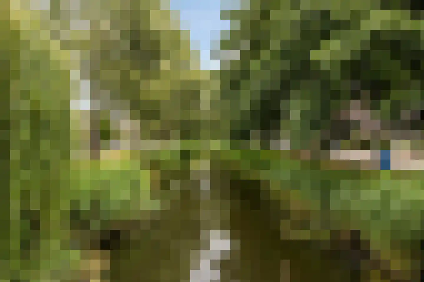 Fonteinkruid 2 Zwolle thumbnail 32