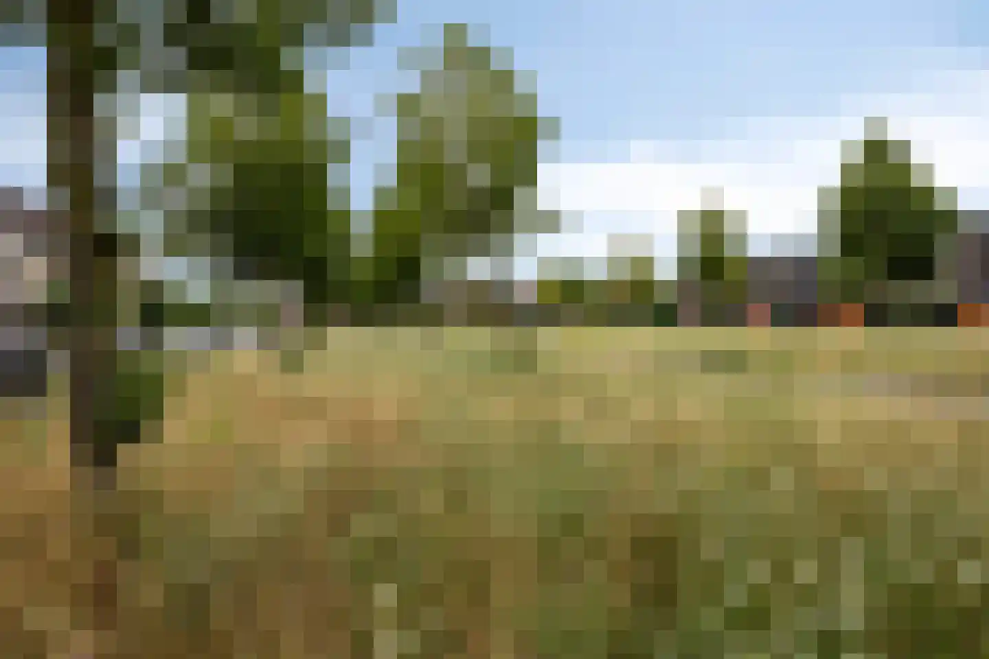 Fonteinkruid 2 Zwolle thumbnail 33