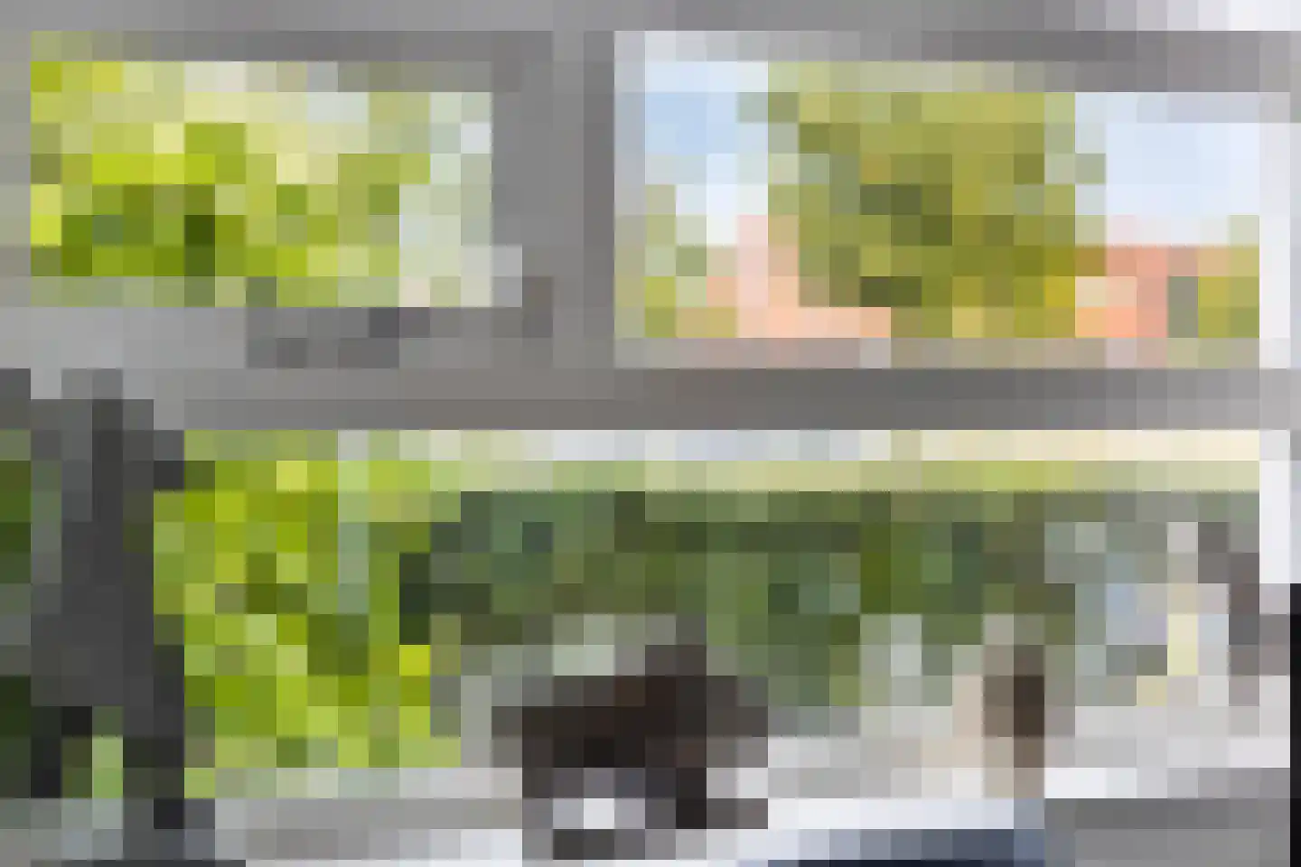 Fonteinkruid 2 Zwolle thumbnail 9